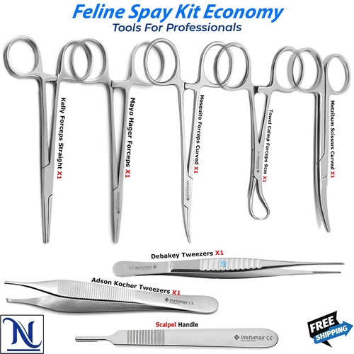 Basic feline spay surgery - basic,