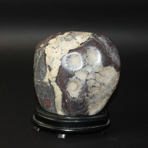 Japanese chrysanthemum stone - chrysanthemum,