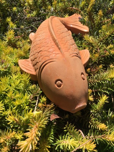 Large hand cast stone koi - , carp