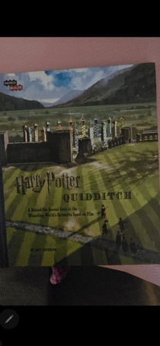 Harry potter quidditch - harry,