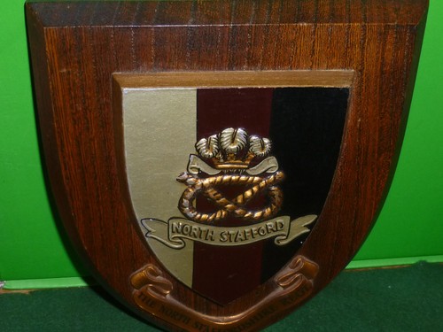 The north staffordshire regl - north,
