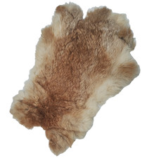 Natural rabbit skin fur - rabbit, tanned