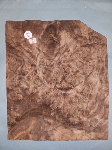 American walnut burr - american,