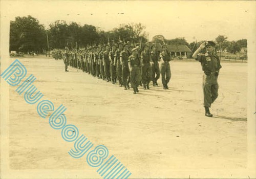 Ww2 th battalion - th,