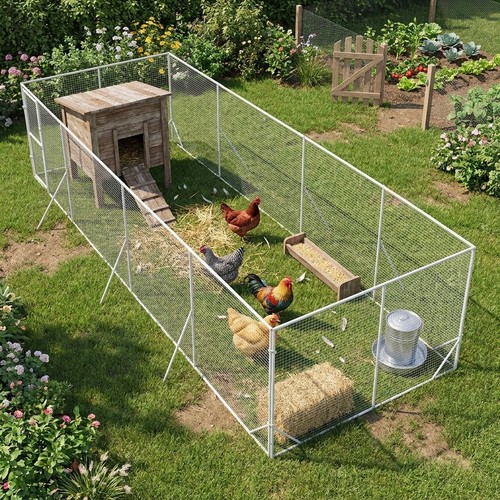 Chicken run 8x4x2m galvanised - run,