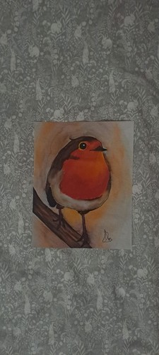Robin watercolour painting - robin,