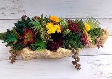 Xmas gift for her contemporary faux succulent arrangement driftwood tree root