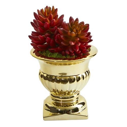 Nearly natural succulent - natural,