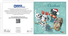 RSPCA Charity Christmas Cards