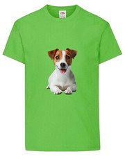 Jack Russell Dog Pet