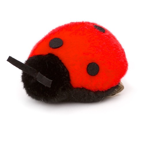 Red ladybird kosen - red,