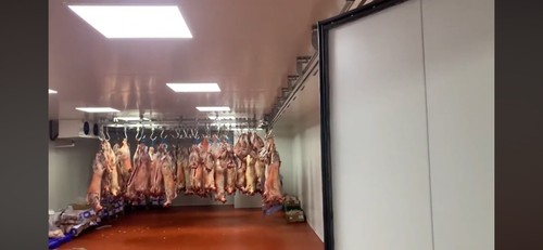 Commercial meat cold - commercial,