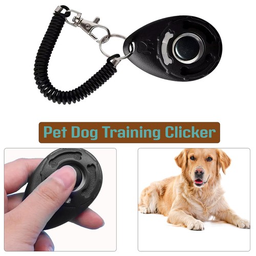 Dog clicker training obedience - training,