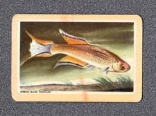 Vintage Swap Playing Card