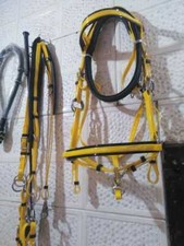 Endurance bridle With Reins And Breastplate - Yellow Full Genuine PVC