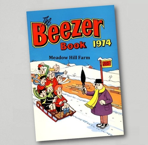 Fridge magnet beezer - fridge, comic