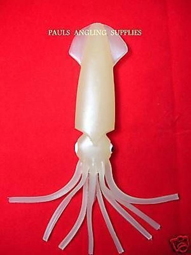 New sea fishing - fishing, lure