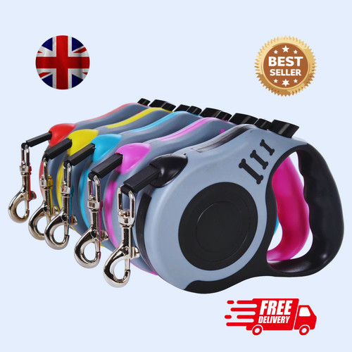 Retractable dog lead training - dog,