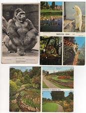 3 x old postcards from Bristol Zoo (now closed)