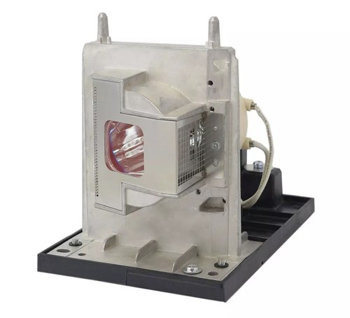 Oem lamp housing - oem, the