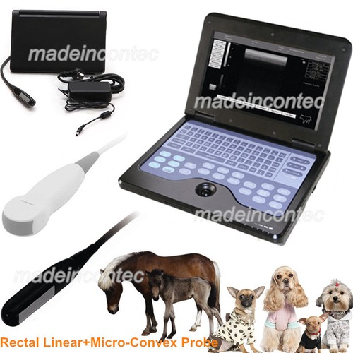 Veterinary laptop ultrasound - veterinary,
