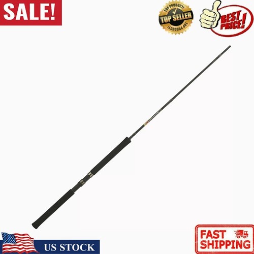 Graphite fishing pole - fishing, 10'