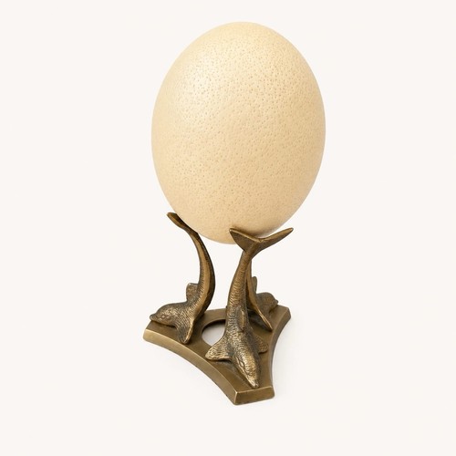 Luxury genuine ostrich egg - genuine, on