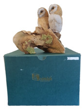 TEVIOTDALE OWLETS  ON TREE