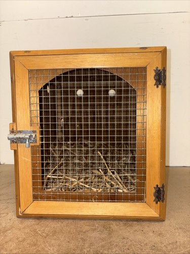 Vintage wooden bird transport - vintage,