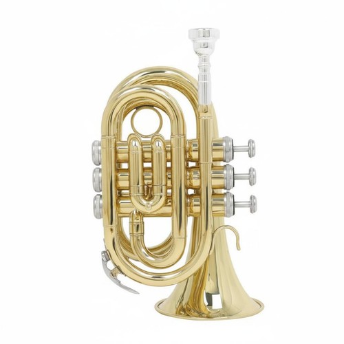 Brass palm trumpet portable - brass,