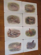 SET OF 8 PIMPERNEL BIRD PLACEMATS IN VERY GOOD CONDITION WITH FELT BACK