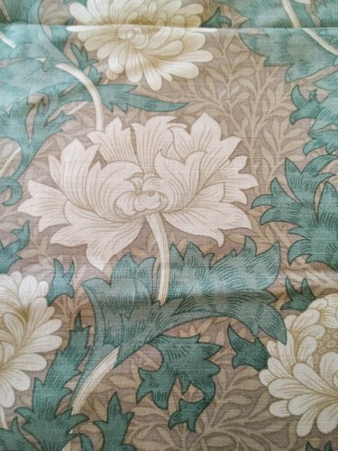 William morris chrysanthemum - william, 'chrysanthemum'