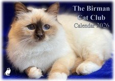 Birman Cat Club Wall Calendar 2026
