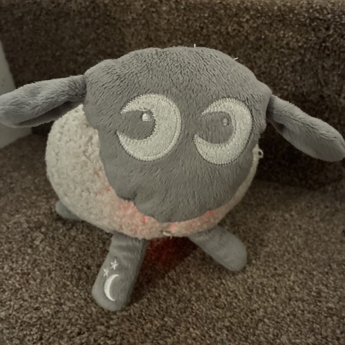 Ewan the sheep baby - ewan,