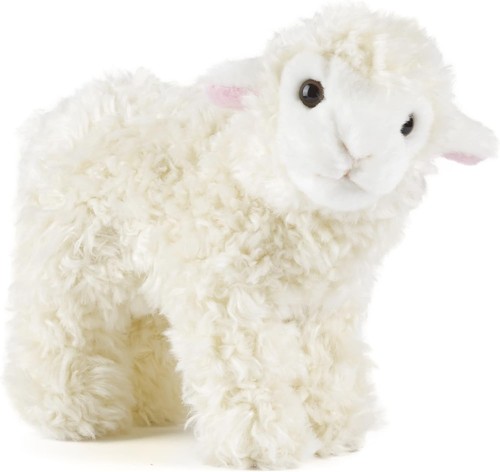 Living nature small lamb - nature,