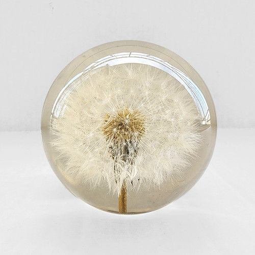 Vtg hafod grange - vtg, dandelion