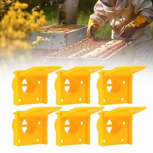 Pieces hive doors - 6,