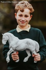 Suffolk Punch Walking model