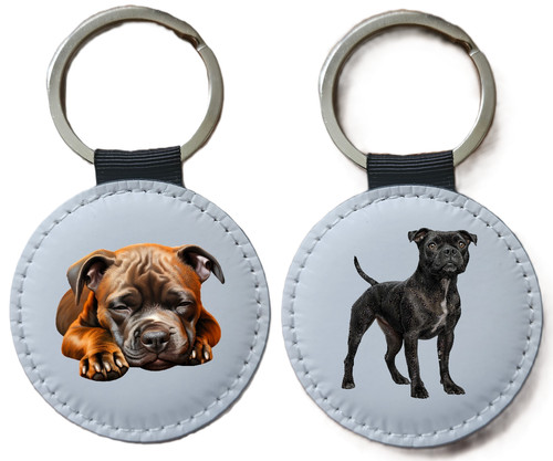 Staffordshire bull terrier - bull,