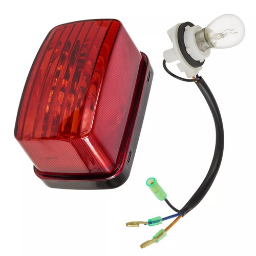 Taillight assembly bulb - assembly,