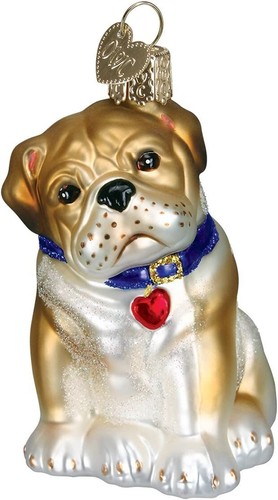 English bulldog pup blown - pup,