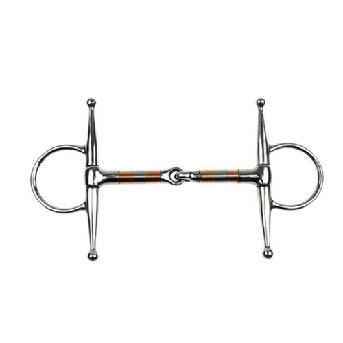 Horse bit riding - horse, bit,