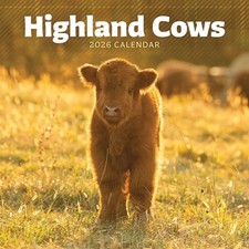 Highland Cows Mini Calendar