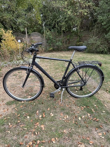 Men raleigh pioneer xl - men’s,