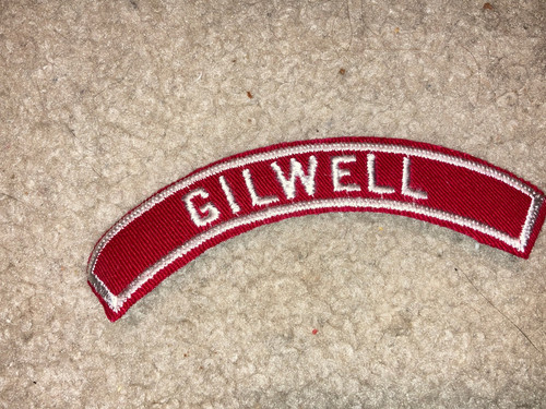Boy scout bsa - boy,