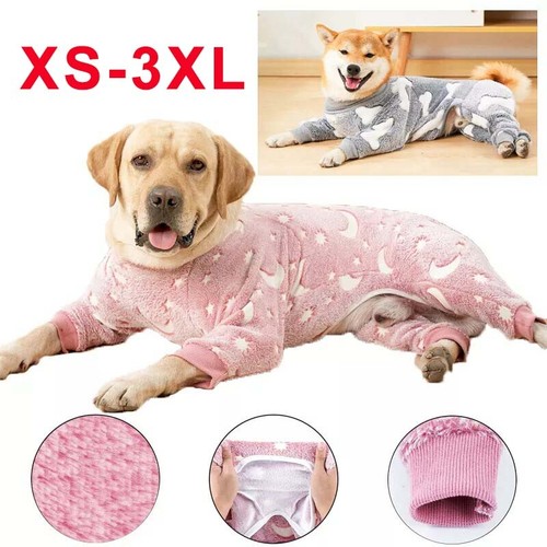 Dog winter clothes flannel - winter,