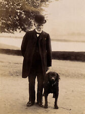 CURLY COATED RETRIEVER