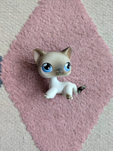 Littlest pet shop - pet, siamese