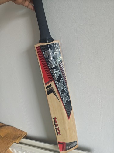 English willow cricket - cricket, sh