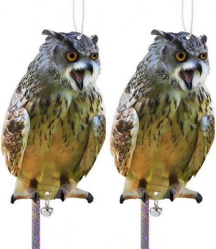 2pcs hawk bird - hawk,